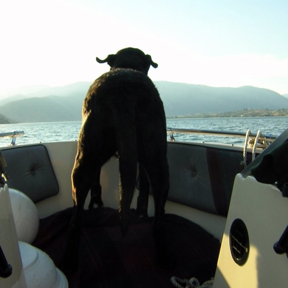 Meet your Posher, Kj - Picture 12 of 14